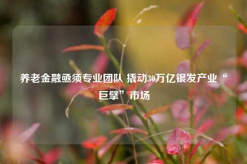 养老金融亟须专业团队 撬动30万亿银发产业“巨擘”市场-第1张图片-彩票资讯