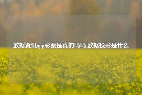 数据资讯app彩票是真的吗吗,数据投彩是什么-第1张图片-彩票资讯