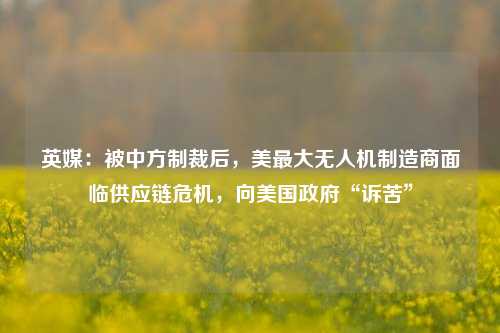 英媒：被中方制裁后，美最大无人机制造商面临供应链危机，向美国政府“诉苦”-第1张图片-彩票资讯