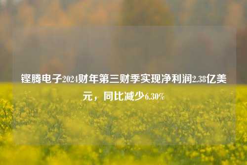 铿腾电子2024财年第三财季实现净利润2.38亿美元，同比减少6.30%-第1张图片-彩票资讯