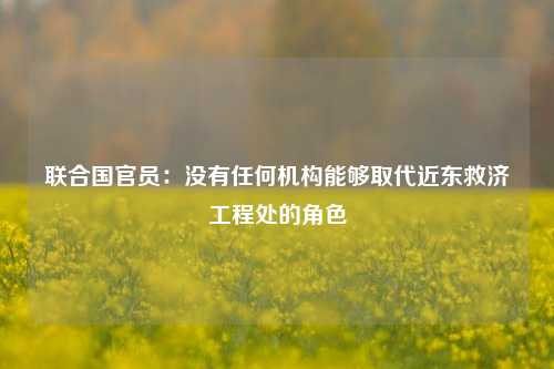 联合国官员：没有任何机构能够取代近东救济工程处的角色-第1张图片-彩票资讯