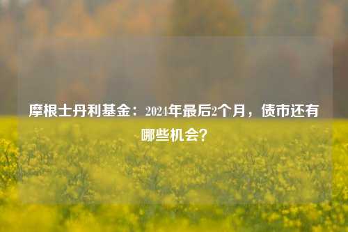 摩根士丹利基金：2024年最后2个月，债市还有哪些机会？-第1张图片-彩票资讯