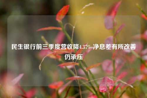 民生银行前三季度营收降4.37% 净息差有所改善仍承压-第1张图片-彩票资讯