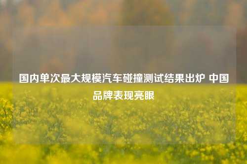 国内单次最大规模汽车碰撞测试结果出炉 中国品牌表现亮眼-第1张图片-彩票资讯