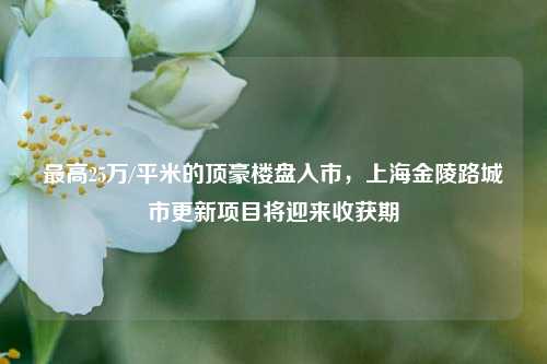 最高25万/平米的顶豪楼盘入市，上海金陵路城市更新项目将迎来收获期-第1张图片-彩票资讯