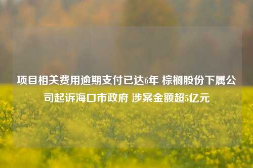 项目相关费用逾期支付已达6年 棕榈股份下属公司起诉海口市政府 涉案金额超5亿元-第1张图片-彩票资讯