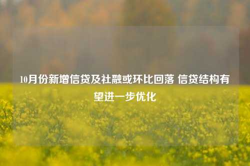 10月份新增信贷及社融或环比回落 信贷结构有望进一步优化-第1张图片-彩票资讯