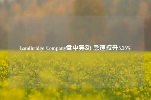 Landbridge Company盘中异动 急速拉升5.35%-第1张图片-彩票资讯