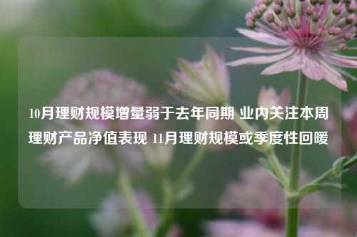 10月理财规模增量弱于去年同期 业内关注本周理财产品净值表现 11月理财规模或季度性回暖-第1张图片-彩票资讯