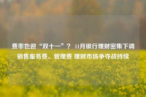 费率也迎“双十一”？ 11月银行理财密集下调销售服务费、管理费 理财市场争夺战持续-第1张图片-彩票资讯