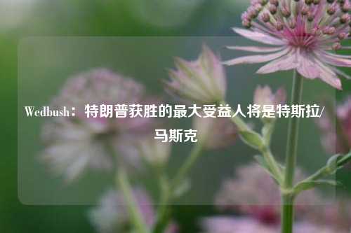 Wedbush：特朗普获胜的最大受益人将是特斯拉/马斯克-第1张图片-彩票资讯