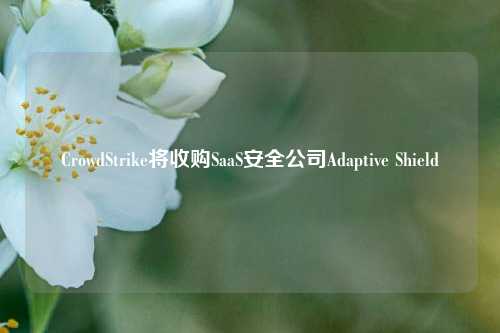 CrowdStrike将收购SaaS安全公司Adaptive Shield-第1张图片-彩票资讯