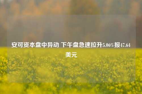 安可资本盘中异动 下午盘急速拉升5.06%报47.64美元-第1张图片-彩票资讯