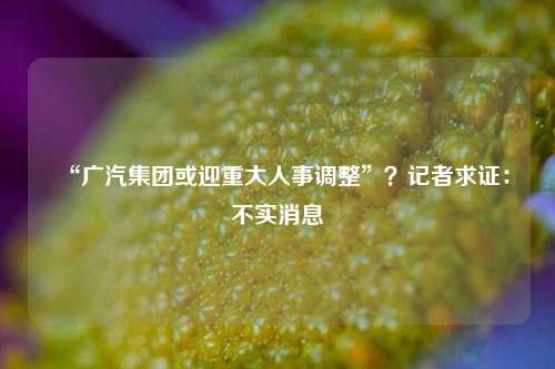 “广汽集团或迎重大人事调整”？记者求证：不实消息-第1张图片-彩票资讯