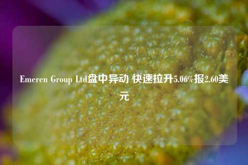 Emeren Group Ltd盘中异动 快速拉升5.06%报2.60美元-第1张图片-彩票资讯