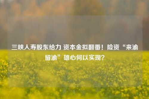 三峡人寿股东给力 资本金拟翻番！险资“来渝留渝”雄心何以实现？-第1张图片-彩票资讯