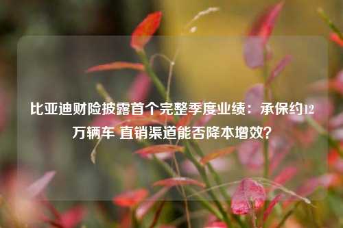 比亚迪财险披露首个完整季度业绩：承保约12万辆车 直销渠道能否降本增效？-第1张图片-彩票资讯