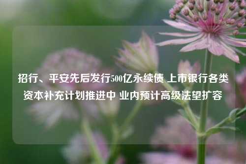 招行、平安先后发行500亿永续债 上市银行各类资本补充计划推进中 业内预计高级法望扩容-第1张图片-彩票资讯