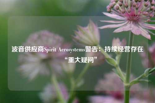 波音供应商Spirit Aerosystems警告：持续经营存在“重大疑问”-第1张图片-彩票资讯