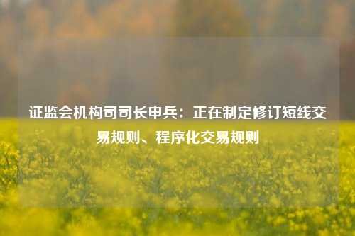 证监会机构司司长申兵：正在制定修订短线交易规则、程序化交易规则-第1张图片-彩票资讯