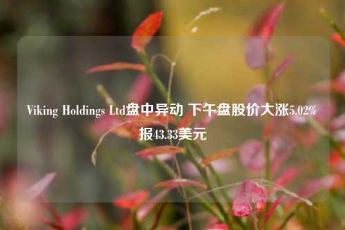 Viking Holdings Ltd盘中异动 下午盘股价大涨5.02%报43.33美元-第1张图片-彩票资讯