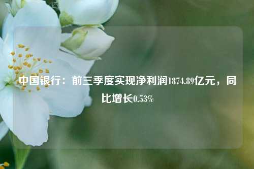 中国银行：前三季度实现净利润1874.89亿元，同比增长0.53%-第1张图片-彩票资讯