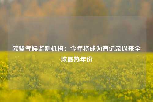 欧盟气候监测机构：今年将成为有记录以来全球最热年份-第1张图片-彩票资讯