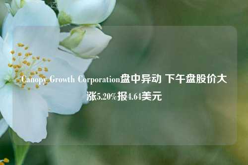 Canopy Growth Corporation盘中异动 下午盘股价大涨5.20%报4.64美元-第1张图片-彩票资讯