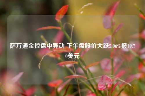 萨万通金控盘中异动 下午盘股价大跌5.06%报19.70美元-第1张图片-彩票资讯