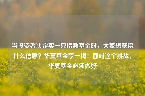 当投资者决定买一只指数基金时，大家想获得什么信息？华夏基金李一梅：面对这个挑战，华夏基金必须做好-第1张图片-彩票资讯