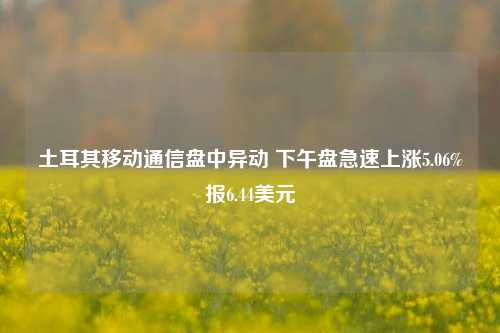 土耳其移动通信盘中异动 下午盘急速上涨5.06%报6.44美元-第1张图片-彩票资讯