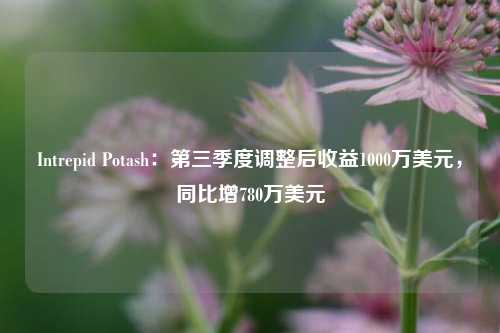 Intrepid Potash：第三季度调整后收益1000万美元，同比增780万美元-第1张图片-彩票资讯