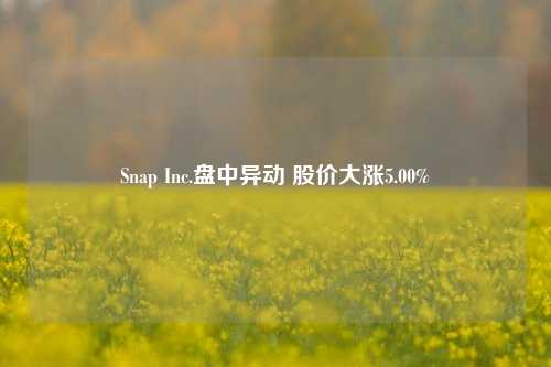 Snap Inc.盘中异动 股价大涨5.00%-第1张图片-彩票资讯