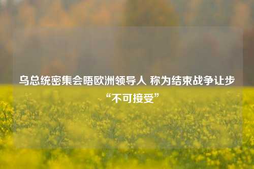 乌总统密集会晤欧洲领导人 称为结束战争让步“不可接受”-第1张图片-彩票资讯