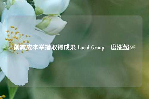 削减成本举措取得成果 Lucid Group一度涨超6%-第1张图片-彩票资讯