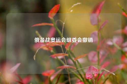 俄备战奥运会组委会撤销-第1张图片-彩票资讯