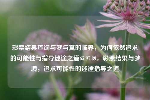 彩票结果查询与梦与真的临界，为何依然追求的可能性与指导迷途之道65.97.89，彩票结果与梦境，追求可能性的迷途指导之道，彩票梦与现实，追寻可能性的迷途指导之道-第1张图片-彩票资讯