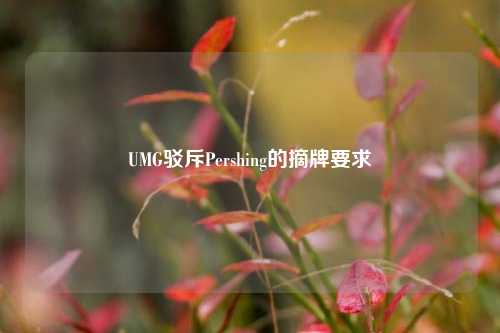 UMG驳斥Pershing的摘牌要求-第1张图片-彩票资讯