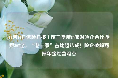 11月11日保险日报丨前三季度84家财险企合计净赚507亿，“老三家”占比超八成！险企破解商保年金经营难点-第1张图片-彩票资讯