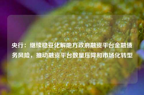 央行：继续稳妥化解地方政府融资平台金融债务风险，推动融资平台数量压降和市场化转型-第1张图片-彩票资讯