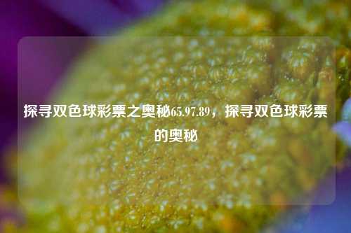 探寻双色球彩票之奥秘65.97.89，探寻双色球彩票的奥秘，揭秘双色球彩票之奥秘65.97.89-第1张图片-彩票资讯