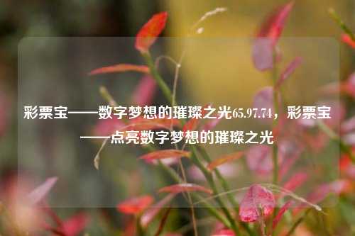 彩票宝——数字梦想的璀璨之光65.97.74，彩票宝——点亮数字梦想的璀璨之光，彩票宝——数字梦想的璀璨导航之光65.97.74-第1张图片-彩票资讯