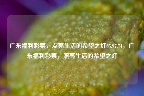 广东福利彩票，点亮生活的希望之灯65.97.74，广东福利彩票，照亮生活的希望之灯，广东福利彩票——生活希望之灯，助力温暖你我他-第1张图片-彩票资讯