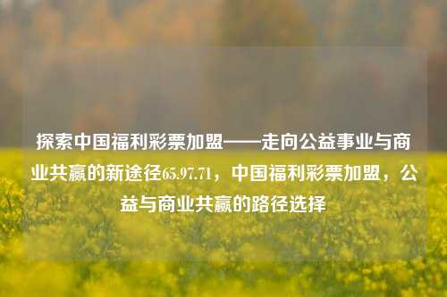 探索中国福利彩票加盟——走向公益事业与商业共赢的新途径65.97.71，中国福利彩票加盟，公益与商业共赢的路径选择，中国福利彩票加盟，公益事业与商业共赢的双重道路-第1张图片-彩票资讯