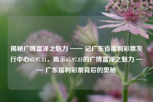 揭秘广博富泽之魅力 —— 记广东省福利彩票发行中心65.97.81，揭示65.97.81的广博富泽之魅力 —— 广东福利彩票背后的奥秘，广东福利彩票背后的广博富泽之魅力 —— 揭秘65.97.81的奥秘-第1张图片-彩票资讯