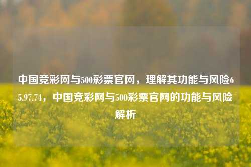 中国竞彩网与500彩票官网，理解其功能与风险65.97.74，中国竞彩网与500彩票官网的功能与风险解析，揭露中国竞彩网与500彩票官网的功能与风险解析-第1张图片-彩票资讯