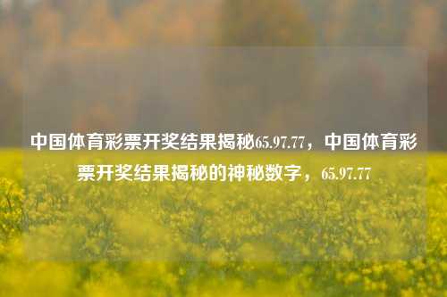 中国体育彩票开奖结果揭秘65.97.77，中国体育彩票开奖结果揭秘的神秘数字，65.97.77，中国体育彩票开奖结果神秘数字揭秘，65.97.77的奥秘-第1张图片-彩票资讯