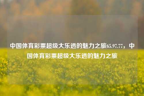 中国体育彩票超级大乐透的魅力之旅65.97.77，中国体育彩票超级大乐透的魅力之旅，中国体育彩票超级大乐透的魅力之旅-第1张图片-彩票资讯