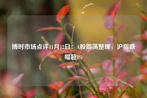 博时市场点评11月12日：A股震荡整理，沪指跌幅超1%-第1张图片-彩票资讯