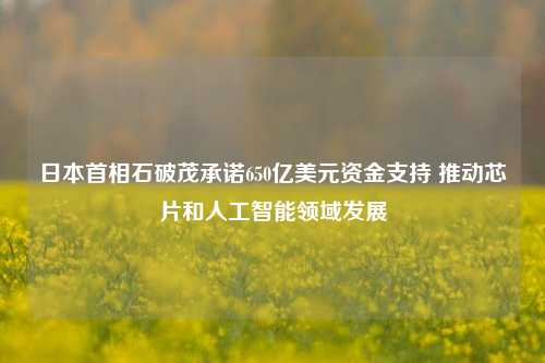 日本首相石破茂承诺650亿美元资金支持 推动芯片和人工智能领域发展-第1张图片-彩票资讯